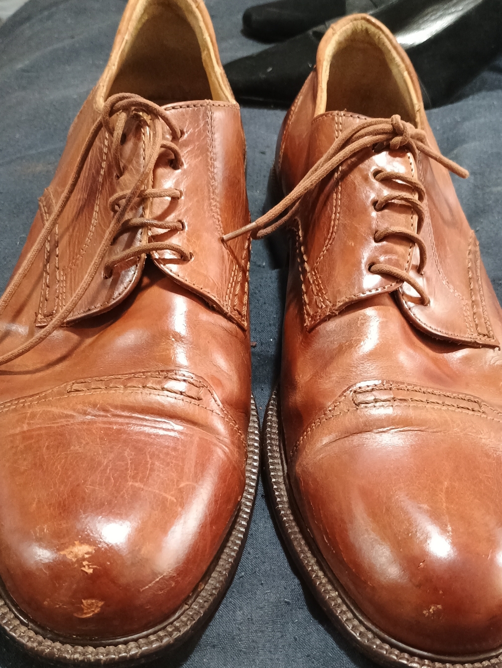 Classic Men's Leather Dress Shoes in Brown (231)